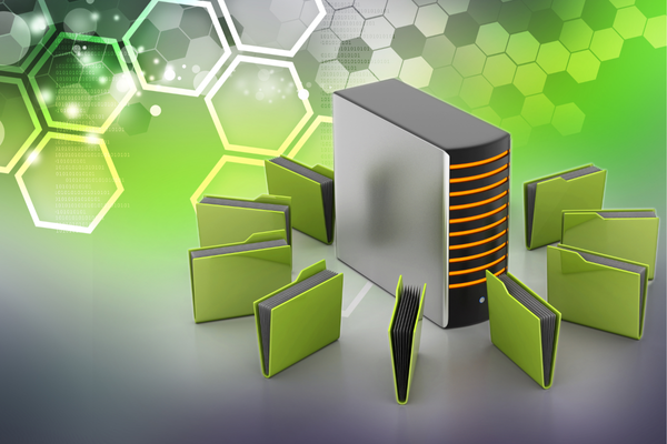 The File Server: The Key to Efficient Data Management